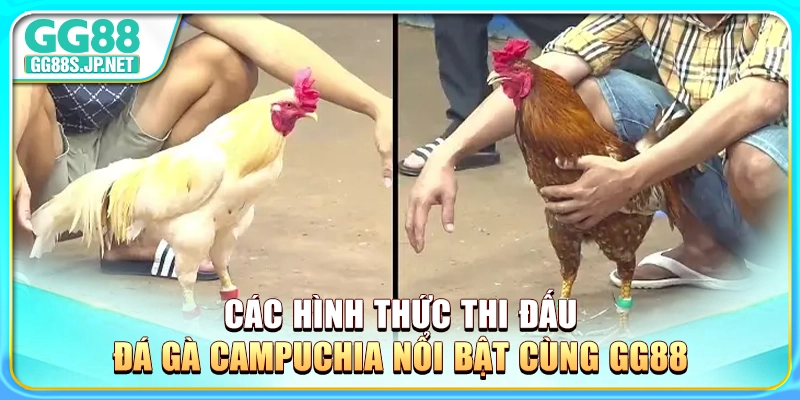 cac-hinh-thuc-thi-dau-da-ga-campuchia-noi-bat-cung-gg88