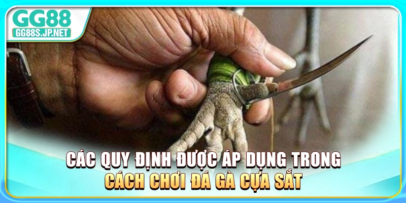 cac-quy-dinh-duoc-ap-dung-trong-cach-choi-da-ga-cua-sat