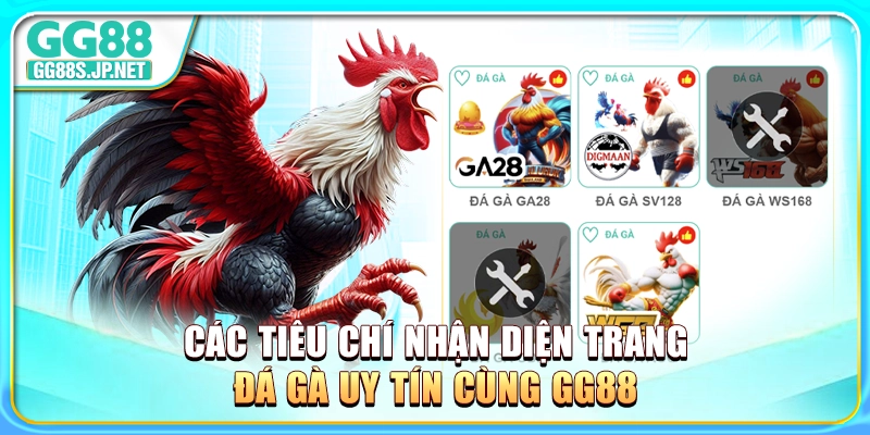 cac-tieu-chi-nhan-dien-trang-da-ga-uy-tin-cung-gg88