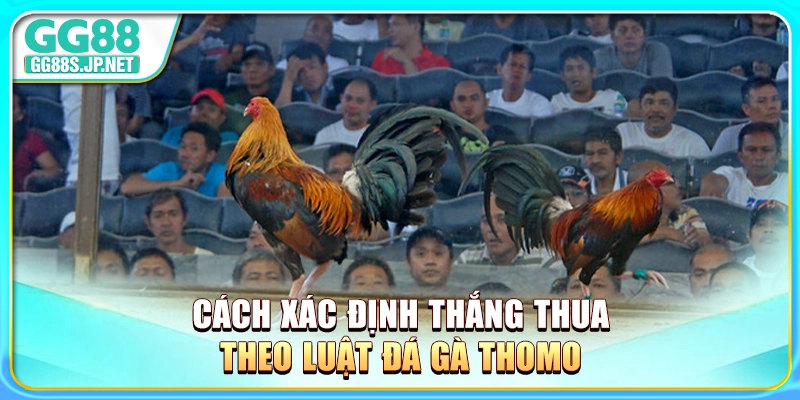 cach-xac-dinh-thang-thua-theo-luat-da-ga-thomo