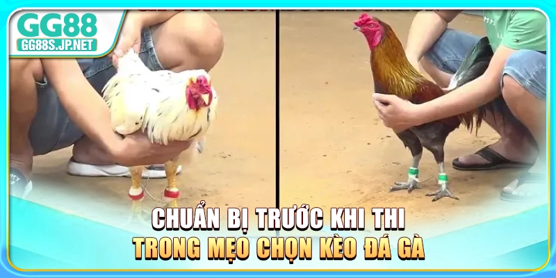 chuan-bi-truoc-khi-thi-trong-meo-chon-keo-da-ga