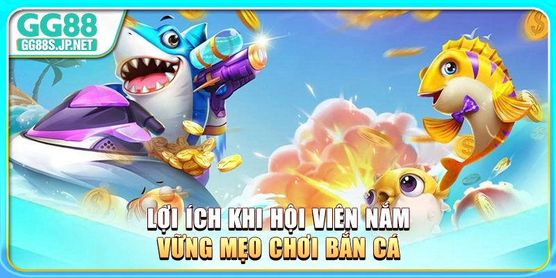 loi-ich-khi-hoi-vien-nam-vung-meo-choi-ban-ca