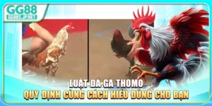 luat-da-ga-thomo-quy-dinh-cung-cach-hieu-dung-cho-ban