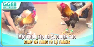 meo-chon-keo-da-ga-chuan-xac-giup-de-tang-ty-le-thang