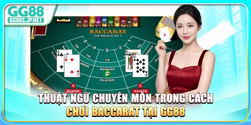 thuat-ngu-chuyen-mon-trong-cach-choi-baccarat-tai-gg88