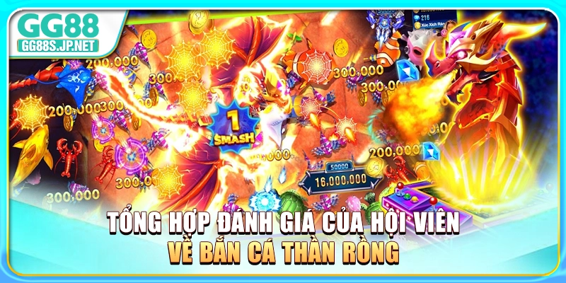 tong-hop-danh-gia-cua-hoi-vien-ve-ban-ca-than-rong