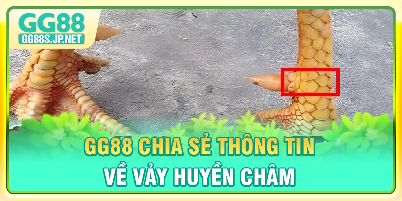 gg88-chia-se-thong-tin-ve-vay-huyen-cham
