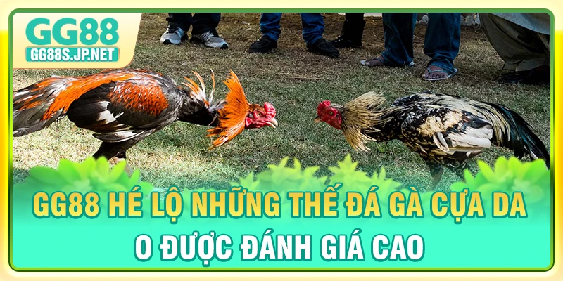 gg88-he-lo-nhung-the-da-ga-cua-dao-duoc-danh-gia-cao