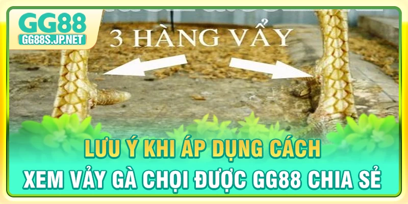 luu-y-khi-ap-dung-cach-xem-vay-ga-choi-duoc-gg88-chia-se