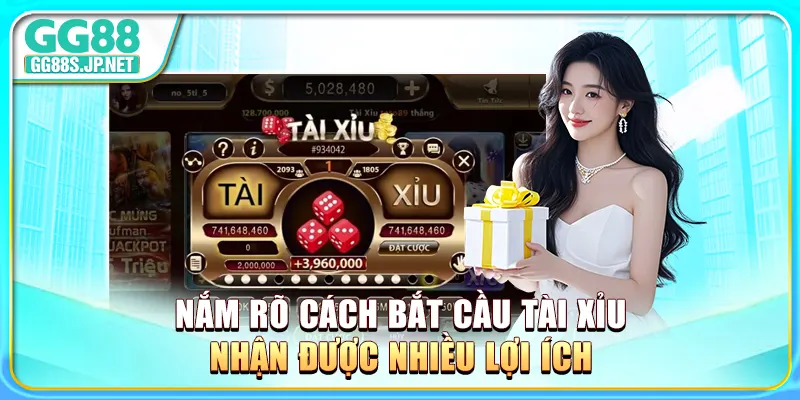 nam-ro-cach-bat-cau-tai-xiu-nhan-duoc-nhieu-loi-ich