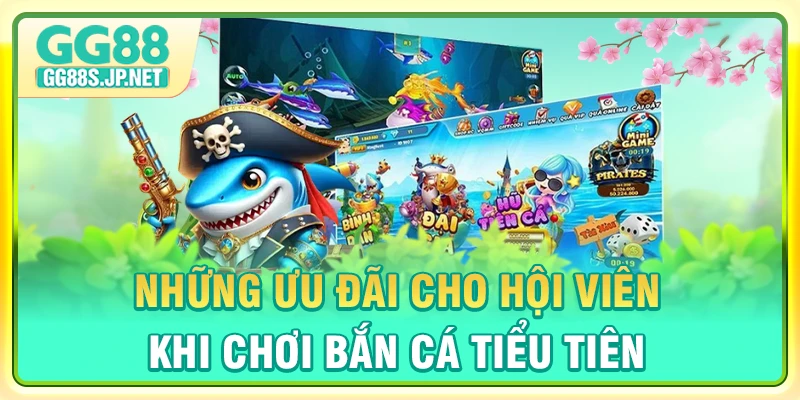 nhung-uu-dai-cho-hoi-vien-khi-choi-ban-ca-tieu-tien