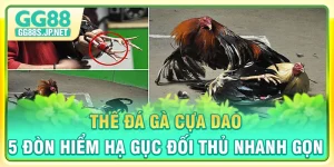 the-da-ga-cua-dao-5-don-hiem-ha-guc-doi-thu-nhanh-gon